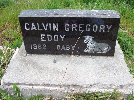 Calvin Gregory Eddy