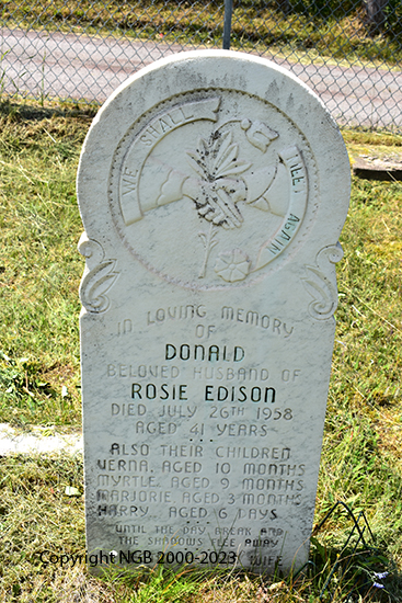 Donald Edison