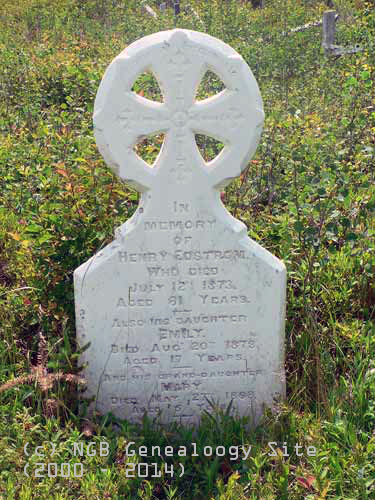 Henry, Emily and Mary Edstrom