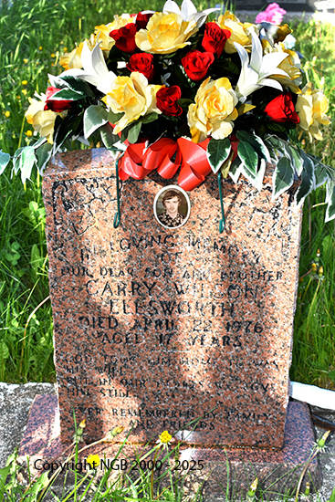 Cary Wilson Ellsworth