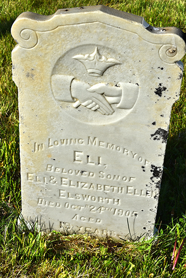 Eli Ellsworth