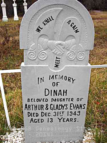 Dinah Evans