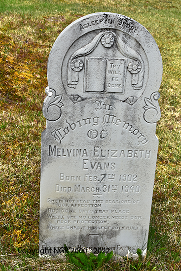 Melvina Elizabeth Evans