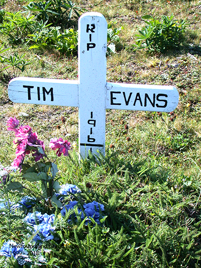 Tim Evans