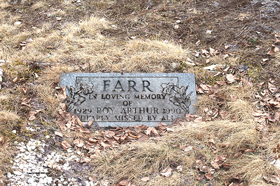 Roy Arthur FArr