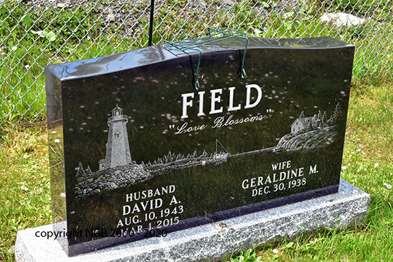 David A. Field