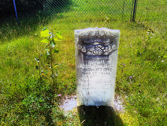 
          william & Mary Field