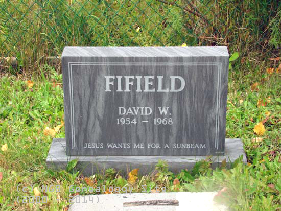David W. Fifield