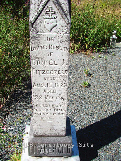 Daniel Fitzgerald