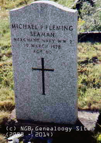 Michael Fleming