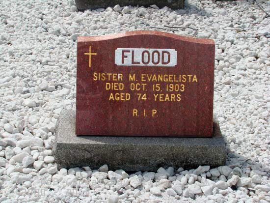 Sister M Evangelista