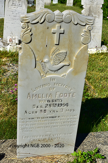 Amelia Foote