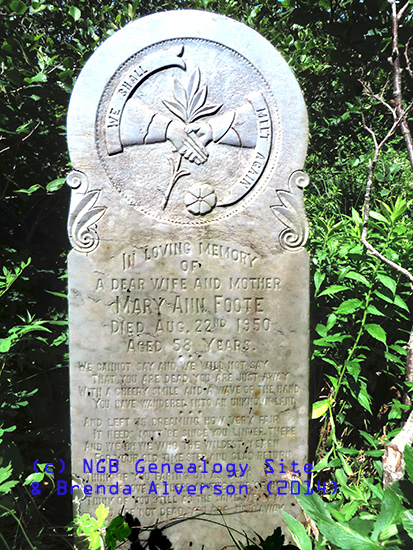 Mary Ann Foote