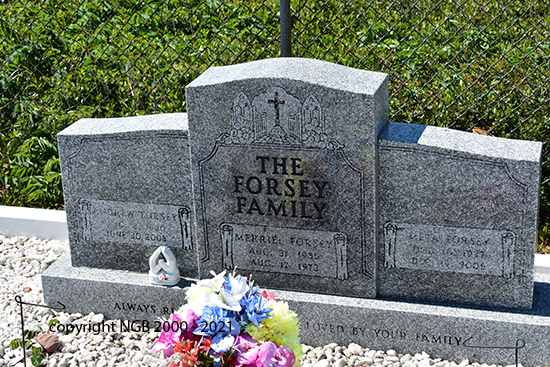 Andrew, Merriel & Meta Foesey