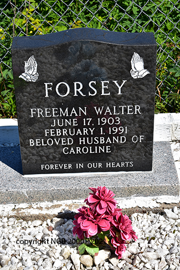 Freeman Walter Forsey