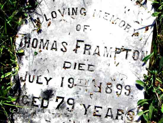 Tom Frampton