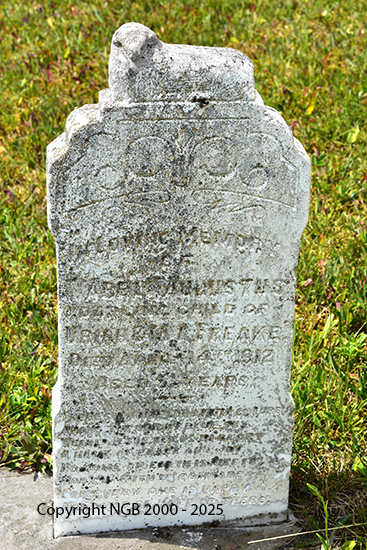 Abel Augustus Freake