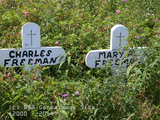 Charles and Mary A. Freeman