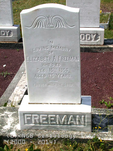 Elizabeth A. Freeman