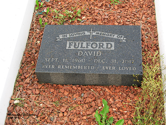David Fulford