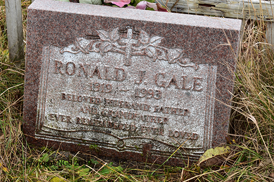 Ronald J. Gale