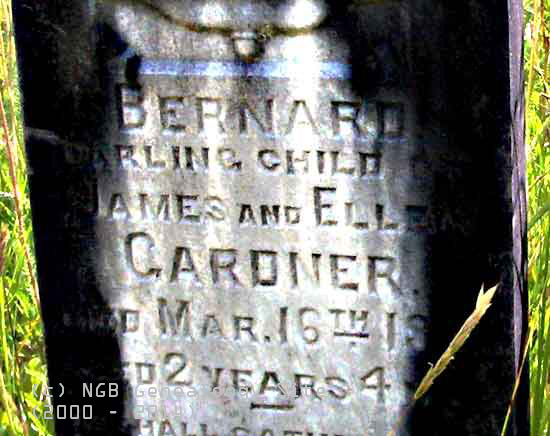 Bernard Gardner