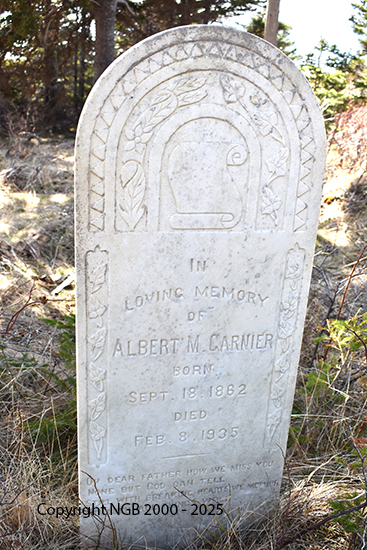 Albert M. Garnier