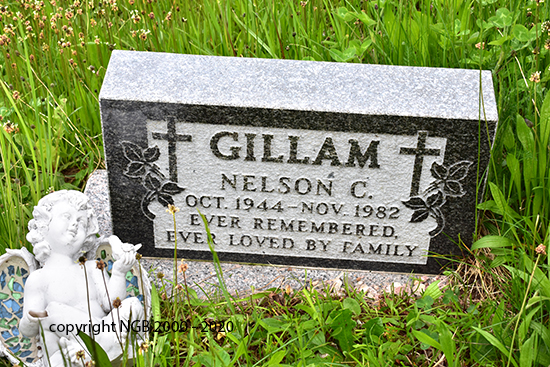 Nelson C. Gillam
