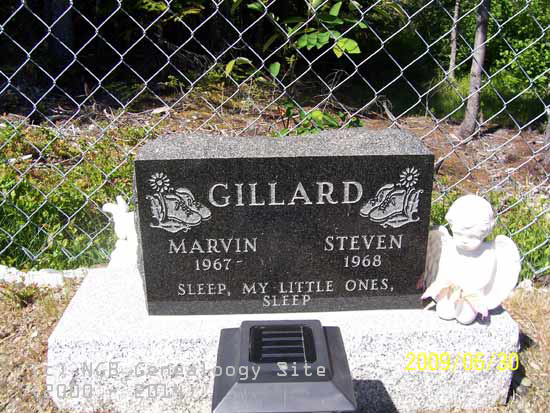 Martin and Steven Gillard