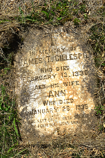 James T. Gillespie