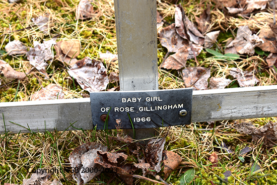 Baby Girl Gillingham