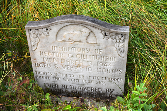 Hector G. Gillingham