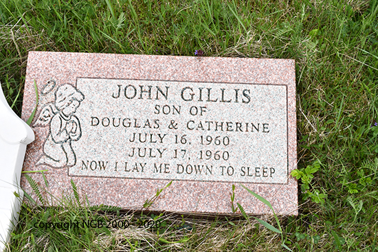 John Gillis