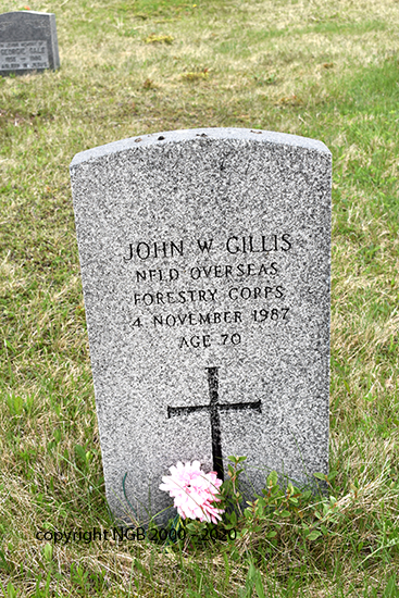 John W. Gillis