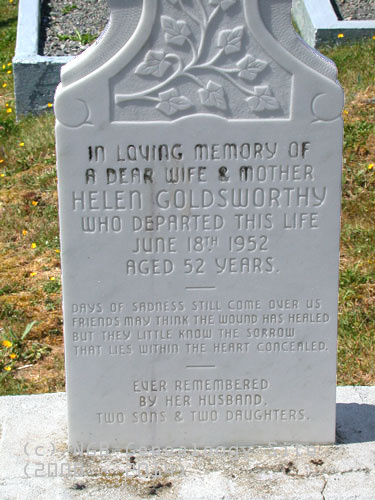 Helen Goldsworthy