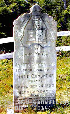 James Goodyear