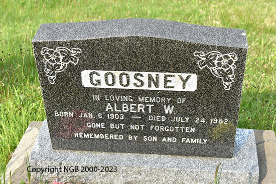 Albert W. Goosney