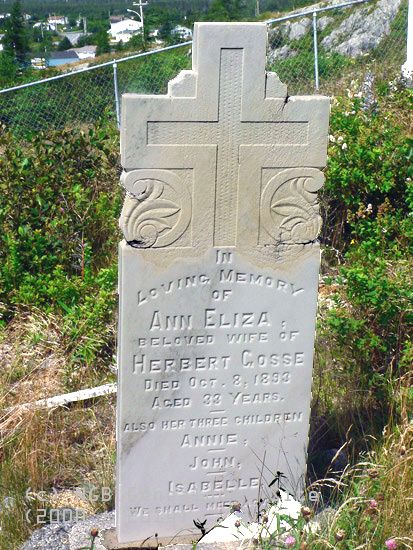 Ann Eliza Goose