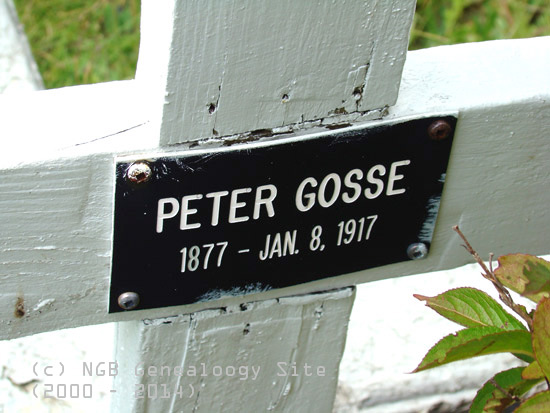 Peter Gosse