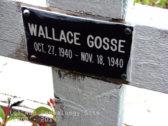 Wallace Gosse