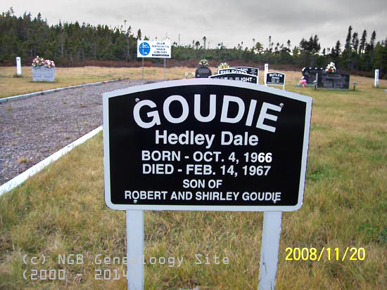Hedley Goudie