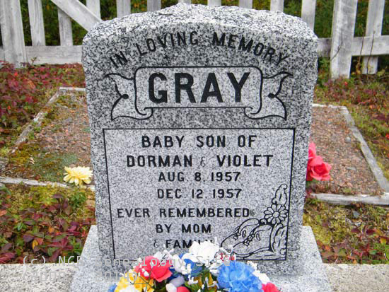 Baby Gray