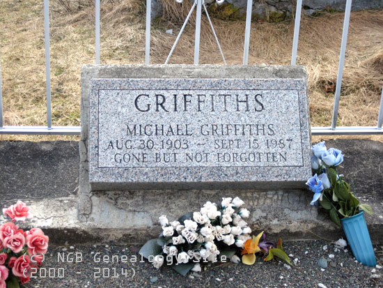 Michael Griffiths