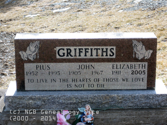 Pius, JOhn & Elizabeth Griffiths