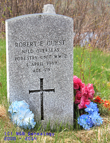 Robert Guest