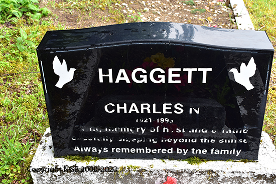 Charles N. Haggett