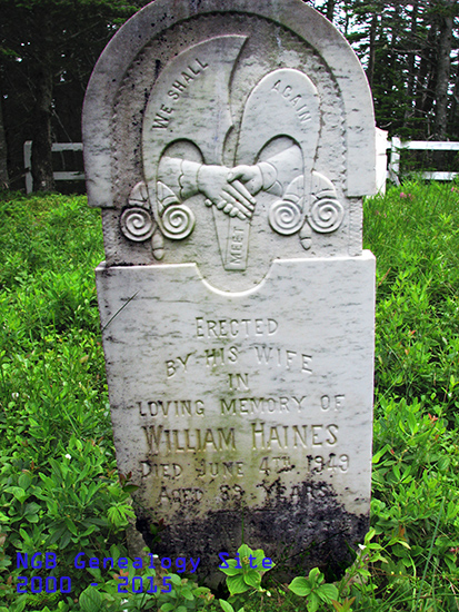 William Haines