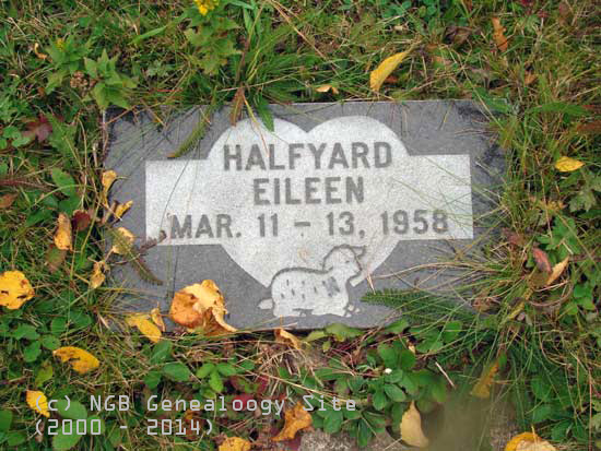 Eileen Halfyard