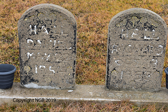 Daniel & Richard Hall