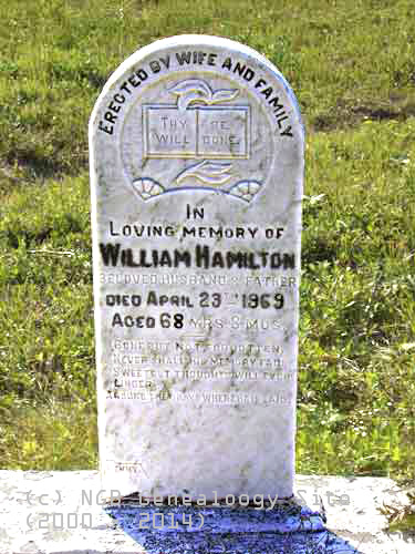 William HAMILTON